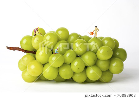 閃耀步槍和微型農夫 閃耀步槍和微型農夫 70888908