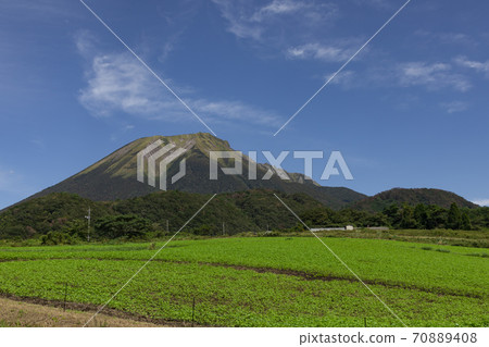 East foot of Oyama 70889408