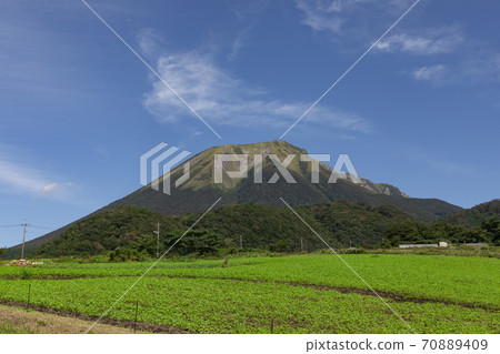 大山東麓 70889409