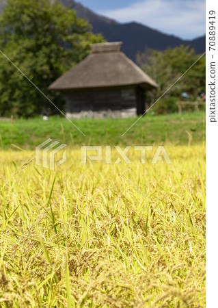 Thatched-roof hut on your desk 70889419