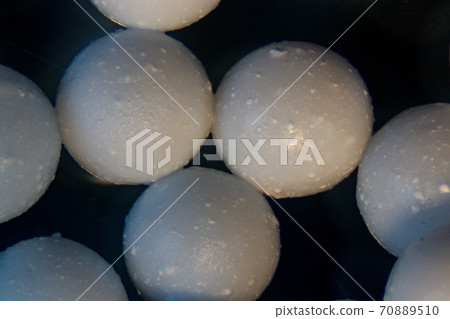 Sodium alginate (soft focus and have Grain/Noise ) is a cell wall component of marine brown algae under the microscope for education in Laboratory. 70889510