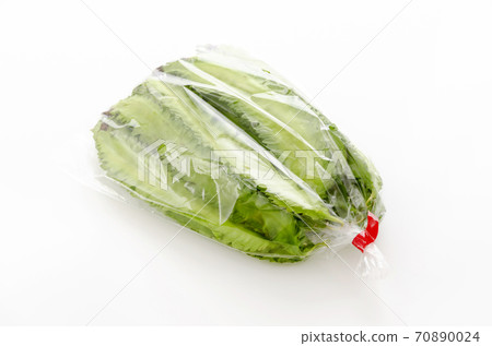 Winged bean (Urizumi bean) in a bag Winged bean (Urizumi bean) in a bag 70890024