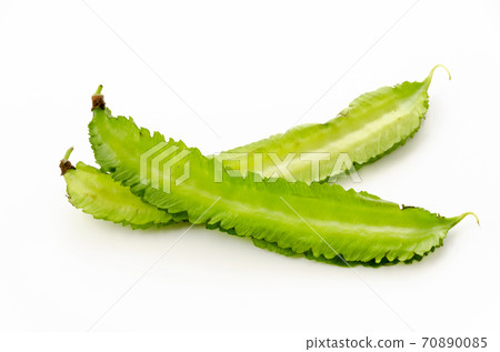 Shikakamame (Urips bean) Shikakamame (Urips bean) 70890085
