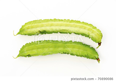 Shikakamame (Urips bean) Shikakamame (Urips bean) 70890086