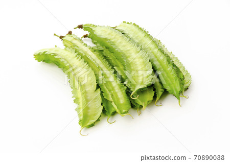 Shikakamame (Urips bean) Shikakamame (Urips bean) 70890088
