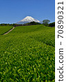 Shizuoka Prefecture Mt. Fuji and fresh green tea plantations 70890321