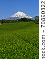 Shizuoka Prefecture Mt. Fuji and fresh green tea plantations 70890322