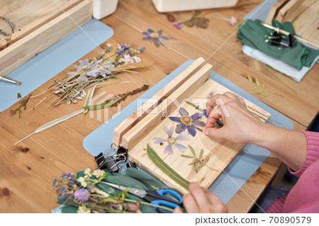 A woman lays out a composition. Master class on creating frame with Herbarium in tiffany technique in stained glass. Herbarium of dried different plants and flowers placed under a glass 70890579