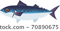  mackerel 70890675