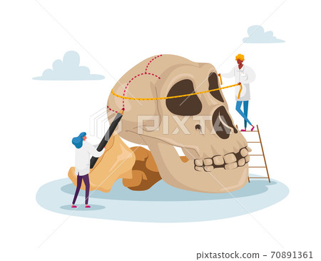 Characters Study Ancient Anthropology. Tiny People Measuring Huge Human Skull for Neanderthal or Prehistoric Testimonies Characters Study Ancient Anthropology. Tiny People Measuring Huge Human Skull for Neanderthal or Prehistoric Testimonies 70891361