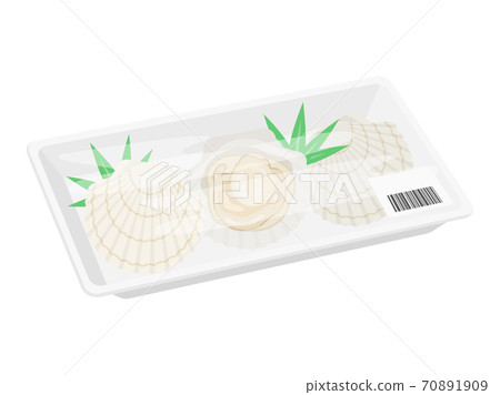 打包中的扇貝的插圖 打包中的扇貝的插圖 70891909