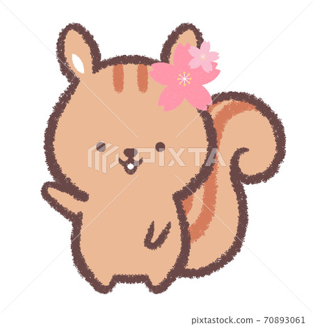 Cherry blossom guide squirrel 70893061