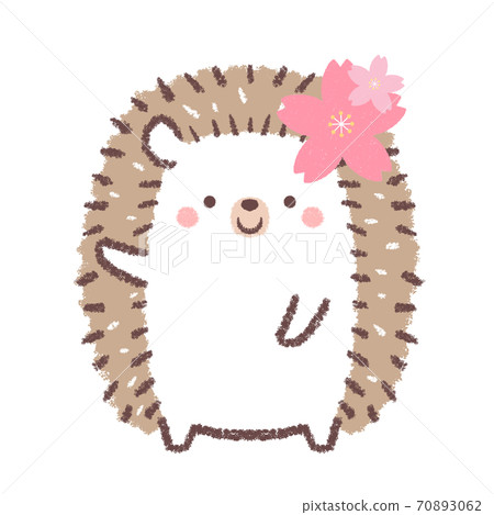 Cherry Blossom Guide Hedgehog 70893062