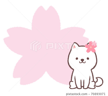 Sakura white shiba inu frame Sakura white shiba inu frame 70893071