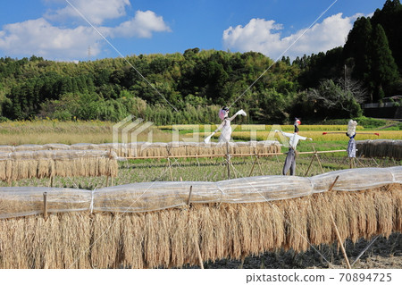 Dried fish and Kakashi idyllic countryside Dried fish and Kakashi idyllic countryside 70894725