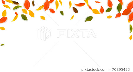 Falling autumn leaves. Red, yellow, green, brown c 70895433
