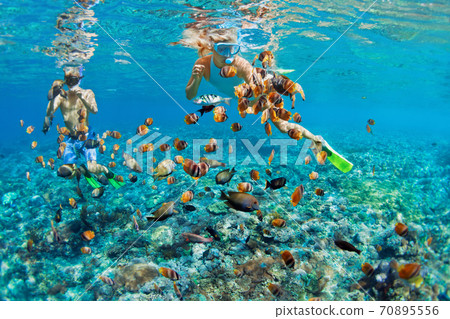 Young couple in snorkeling mask dive underwater in tropical sea Young couple in snorkeling mask dive underwater in tropical sea 70895556