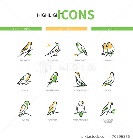 Pet birds - modern line design style icons set Pet birds - modern line design style icons set 70896876