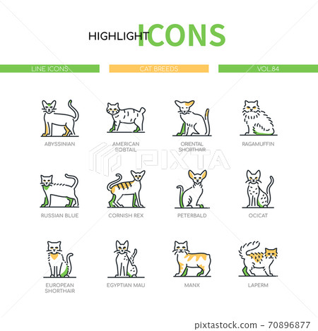 Cat breeds - modern line design style icons set 70896877