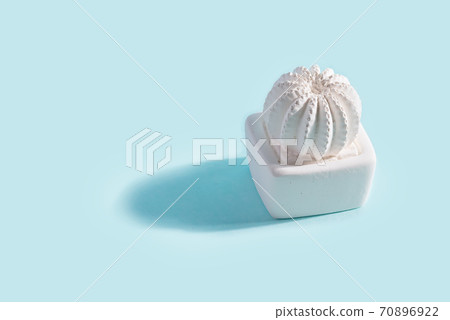 gypsum cactus pots with shadows. 70896922