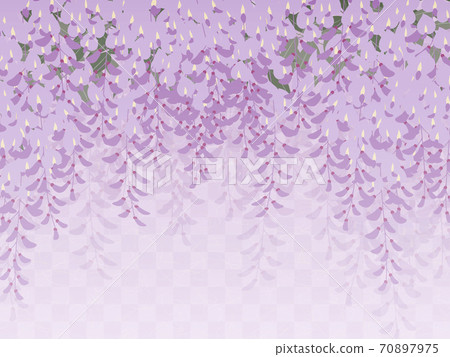 紫藤花背景_日式插畫_紫藤架子 紫藤花背景_日式插畫_紫藤架子 70897975