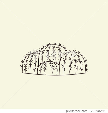 Parodia cactus isolated on light background in hand drawn style. Wild cacti sketch. Engraving vintage. Parodia cactus isolated on light background in hand drawn style. Wild cacti sketch. Engraving vintage. 70898296