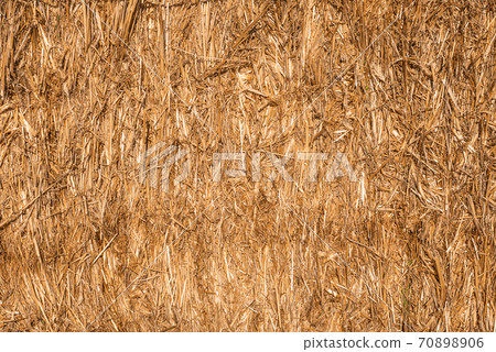 Hay texture golden straws close-up bulgaria sunny orange yellow nature ecology rural sharp focus Hay texture golden straws close-up bulgaria sunny orange yellow nature ecology rural sharp focus 70898906