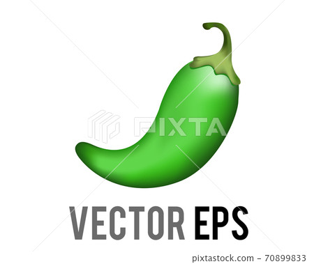 vector green curled Mexican chili pepper icon with green stem vector green curled Mexican chili pepper icon with green stem 70899833