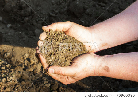 A close up view on plowed soil in mans hands A close up view on plowed soil in mans hands 70900089