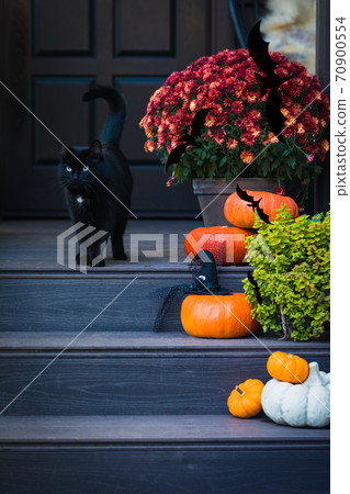 Halloween garden composition with a black cat, orange pumpkins, chrysanthemum potted, front door steps decoration 70900554