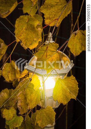 Beautiful street lamp on the background of autumn leaves 70900555