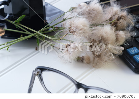 financial manager business accessories for office work glasses calculator cup 70900705