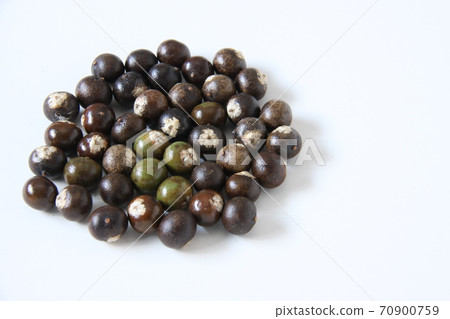 Amazon acai fruit to the left Amazon acai fruit to the left 70900759