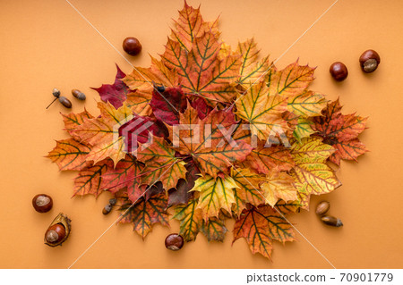 Cozy autumn style flat lay of colorful dry leaves of october on the light orange background with empty space for logo or design Cozy autumn style flat lay of colorful dry leaves of october on the light orange background with empty space for logo or design 70901779