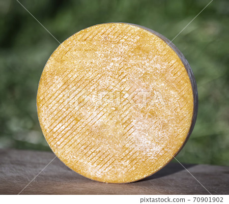 Craft cheese from cows and goats milk. Cheese head Craft cheese from cows and goats milk. Cheese head 70901902