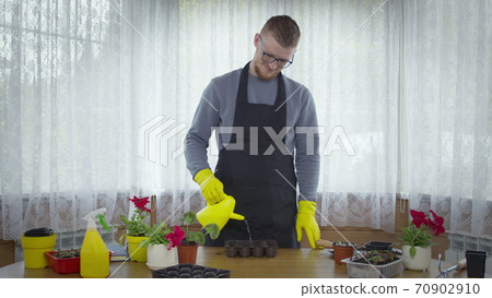 Young male gardener watering soil for seedlings in palettes, plants cultivation Young male gardener watering soil for seedlings in palettes, plants cultivation 70902910