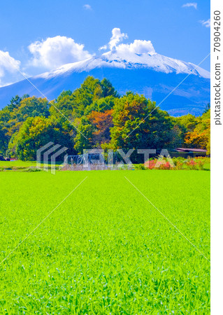 秋天的鄉村和淺間山（垂直） 70904260