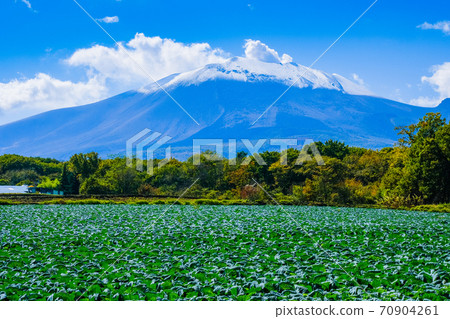 高原白菜和淺間山 70904261