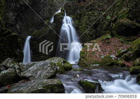 In the mossy rocks with fallen leaves, the flow from Fudou Waterfalls, Yamanori Valley, Fudou Waterfalls In the mossy rocks with fallen leaves, the flow from Fudou Waterfalls, Yamanori Valley, Fudou Waterfalls 70906859