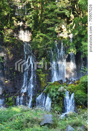 World Heritage Shiraito Falls 70907026