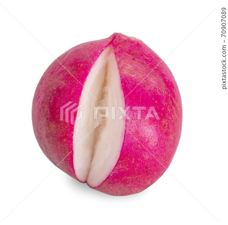 Small garden radish an isolated on white background Small garden radish an isolated on white background 70907089