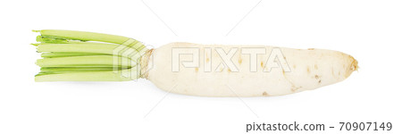 fresh white radish an  isolated on white background 70907149