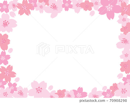 櫻花盛開在春天的框架 70908298