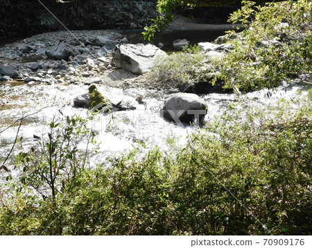 Rapids at the mouth of the Abu River Chitaki Cave, Chomonkyo Rapids at the mouth of the Abu River Chitaki Cave, Chomonkyo 70909176