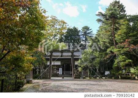 Urashima Shrine, Ine Town, Autumn, Kyoto Prefecture 70910142
