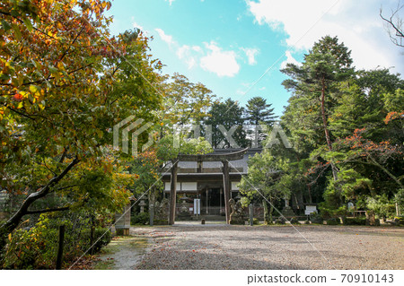 Urashima Shrine, Ine Town, Autumn, Kyoto Prefecture 70910143