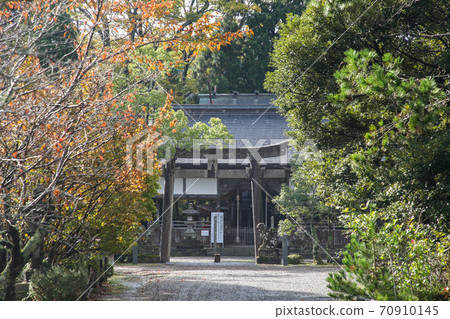 Urashima Shrine, Ine Town, Autumn, Kyoto Prefecture 70910145