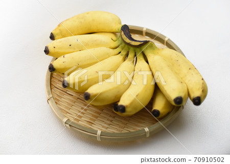 banana 70910502
