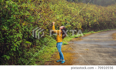 Asian tourist nature, relaxing enjoying the fresh beauty of flower 70910556