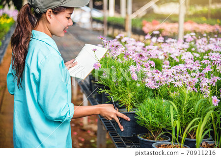 Happy young woman working in a greenhouse, writing notes and studying the growth of trees. Happy young woman working in a greenhouse, writing notes and studying the growth of trees. 70911216
